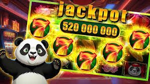 ncw casino