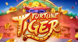 ncw casino