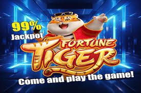 ncw casino